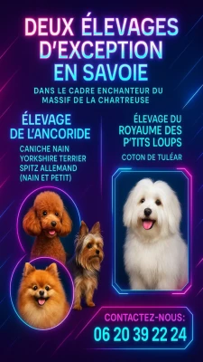Élevage du Royaume des P'tits Loups
