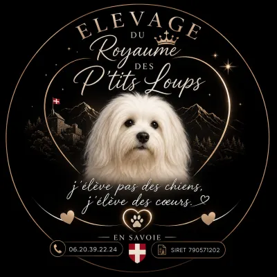 Élevage du Royaume des P'tits Loups